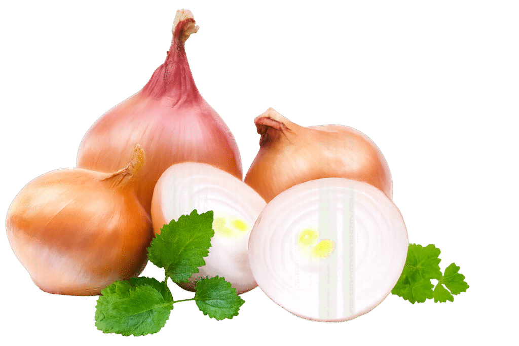 remove background fr